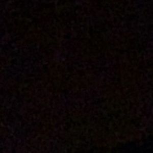 Meet your Posher, Samuel